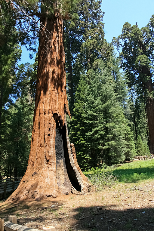 07-02 - 04.JPG - Sequoia National Park, CA